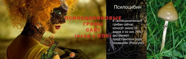 MDMA Premium VHQ Покров