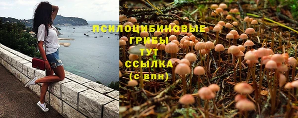 гашиш Покачи