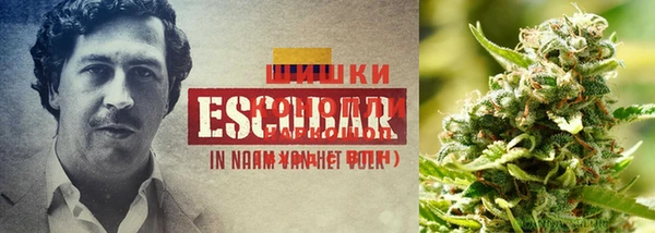 дурь Зеленодольск