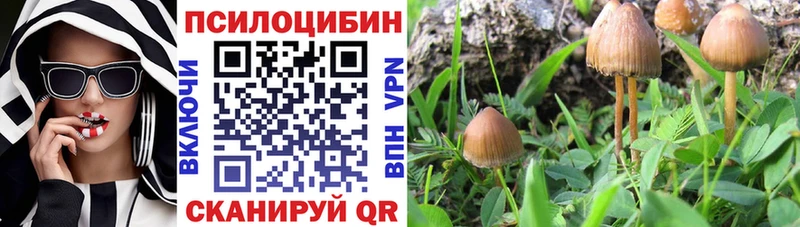 Галлюциногенные грибы Cubensis Макушино